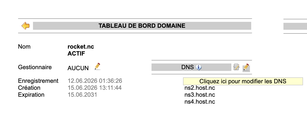 Tableau de bord domaine.nc avec le bloc DNS et l’icône de modification