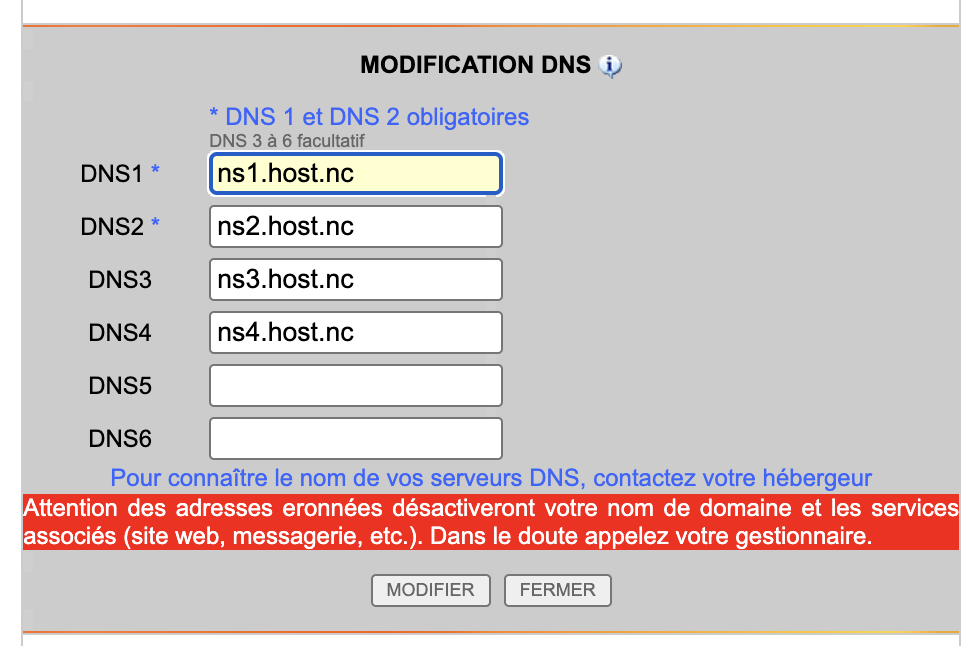 Formulaire de modification DNS avec les champs DNS1 à DNS6